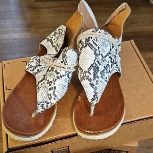 Unbranded-Women's Snake-Print Toe-Loop Sandals in Black & White